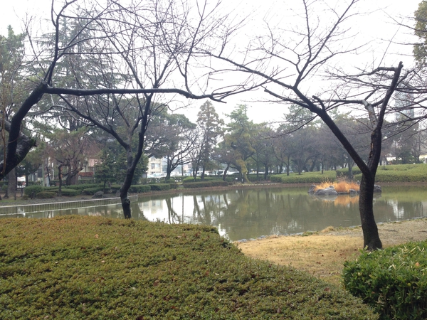 豊国神社　　は　中村公園　　内だっっ　☆　