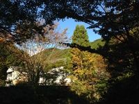 お宿の　　朝は　　　早い　　・・・　　☆