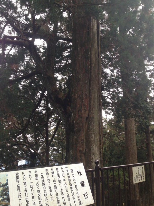 秋葉山本宮　秋葉神社　　上社　　☆