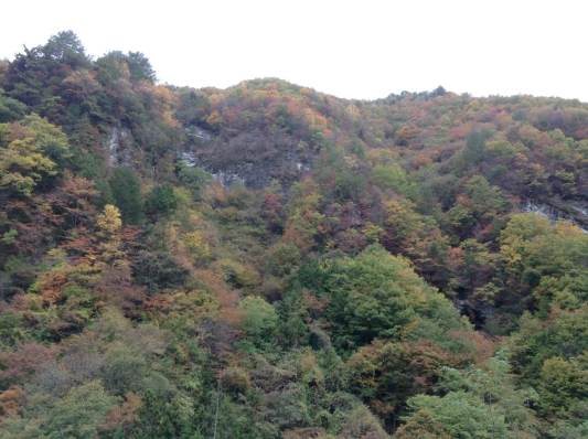 信州　は　　紅葉　　真っ盛り　☆