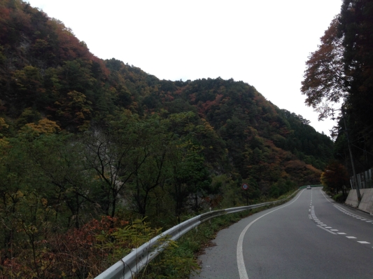 信州　は　　紅葉　　真っ盛り　☆