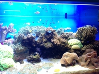 東海大学海洋科学博物館　行ってきた　☆