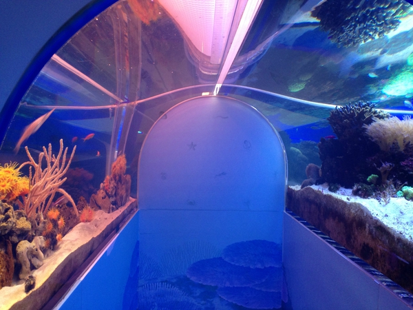 東海大学海洋科学博物館　行ってきた　☆