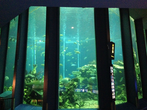 東海大学海洋科学博物館　行ってきた　☆