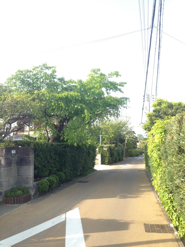 武士　のつもりで　　　殿町　　同心町　テクテク　☆