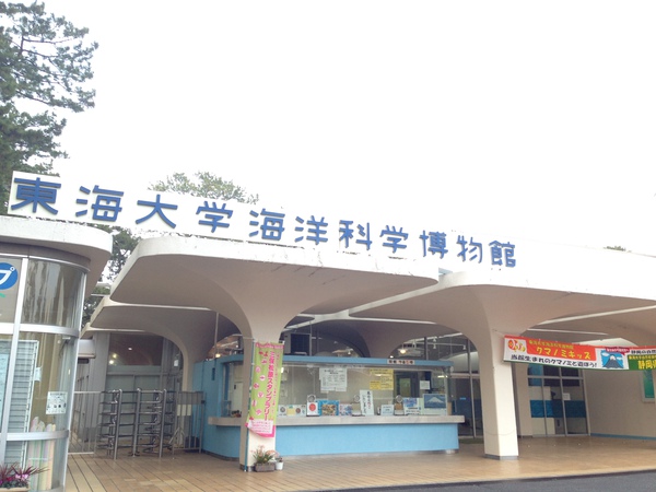 東海大学海洋科学博物館　行ってきた　☆