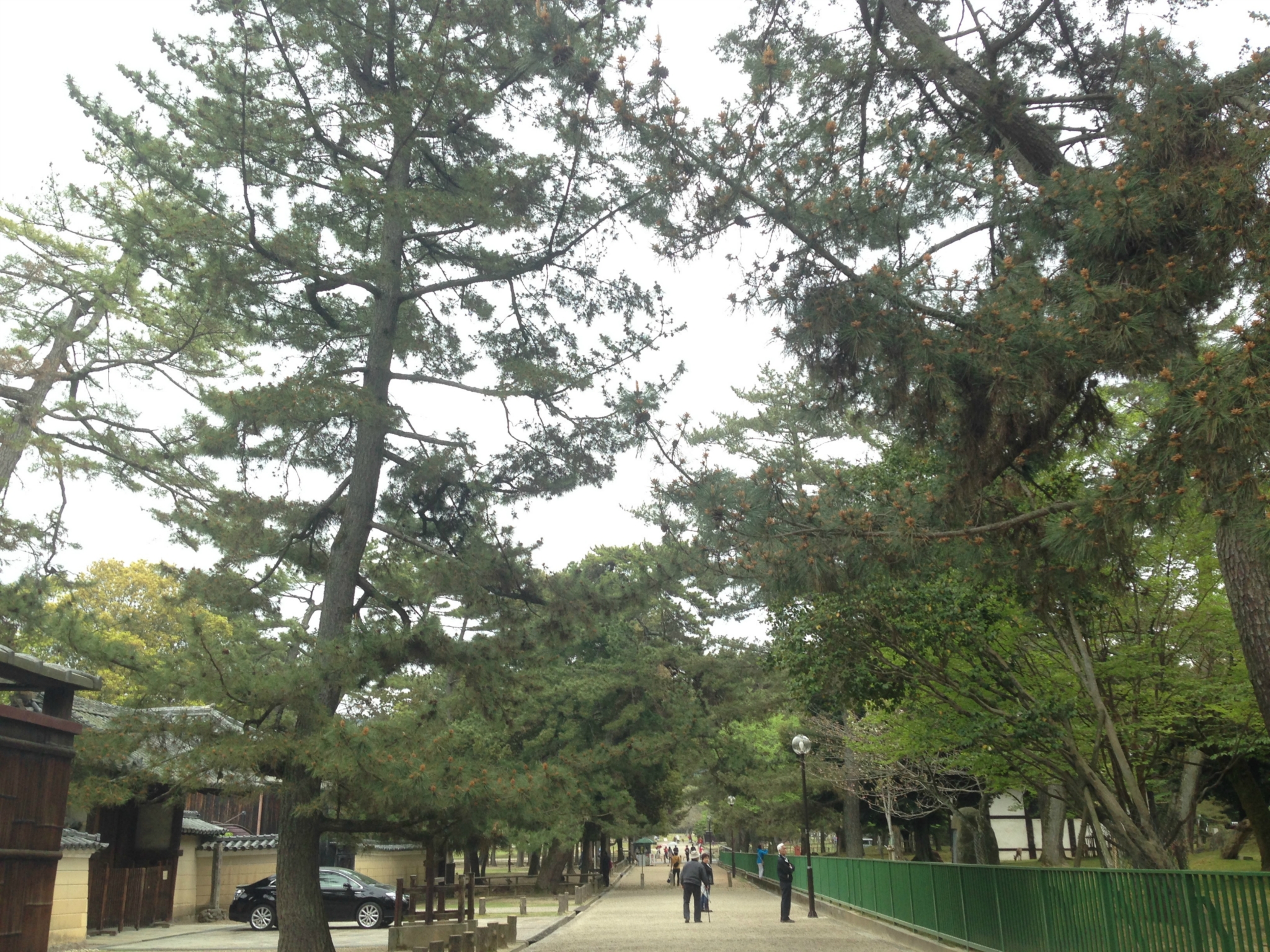 今　ふたたびの　　・・　　奈良国立博物館　　☆