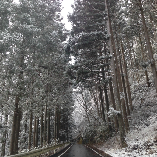 立春ですが　　雪に　　襲われました・・・