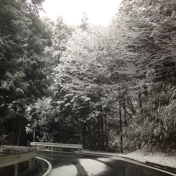 立春ですが　　雪に　　襲われました・・・