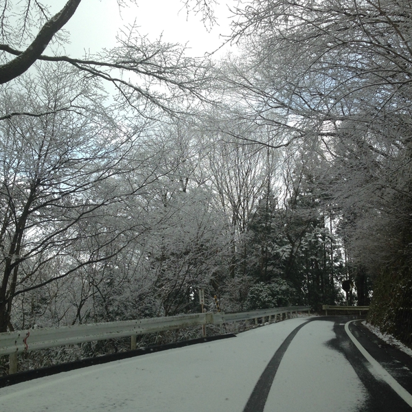 立春ですが　　雪に　　襲われました・・・