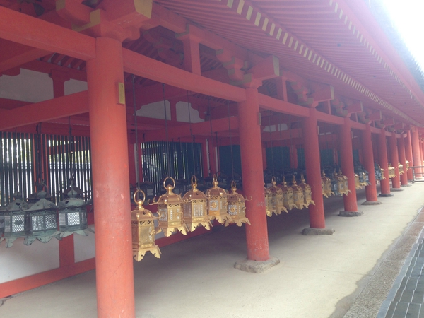 世界遺産　　春日大社　　へも　　テクテク　☆
