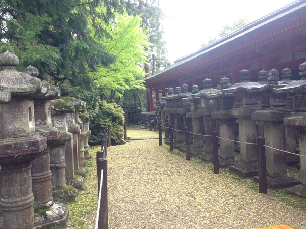 世界遺産　　春日大社　　へも　　テクテク　☆