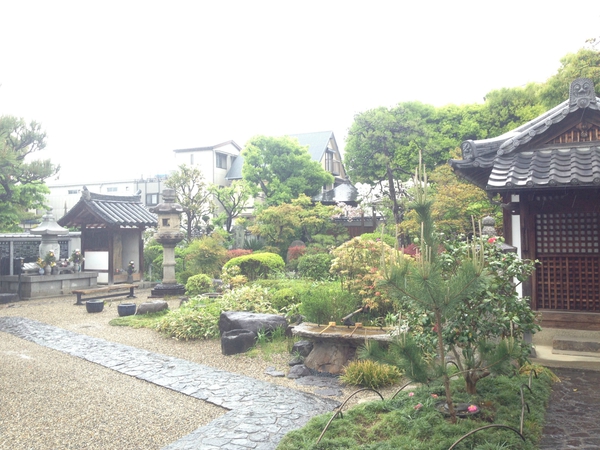 新薬師寺　　から　　十輪寺　　テクテク　☆
