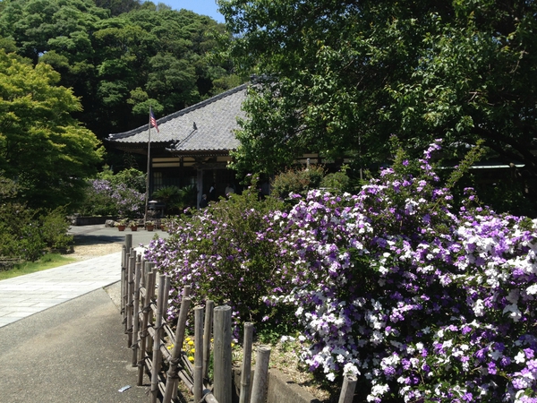 下田観光　だぞ　　パート１　　☆