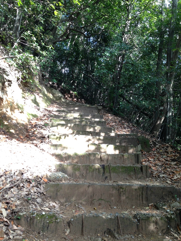 金光稲荷神社　　　行ってきた　　☆
