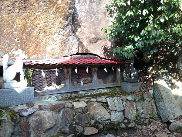 金光稲荷神社　　　行ってきた　　☆