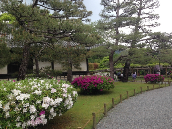 いま　ふたたびの　世界遺産　平等院　　☆