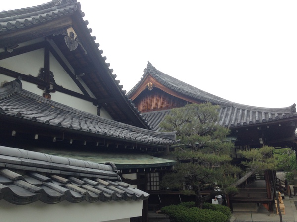 いま　ふたたびの　世界遺産　平等院　　☆