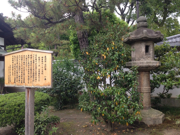 いま　ふたたびの　世界遺産　平等院　　☆