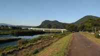 ★今日のウォーク★狩野川リバーサイド 2023/06/17 11:34:56