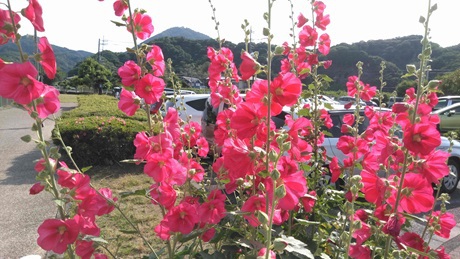 ★にぎやかな公園★狩野川リバーサイドパーク