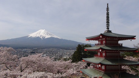 ★今日の山行★新倉山（あらくらやま）