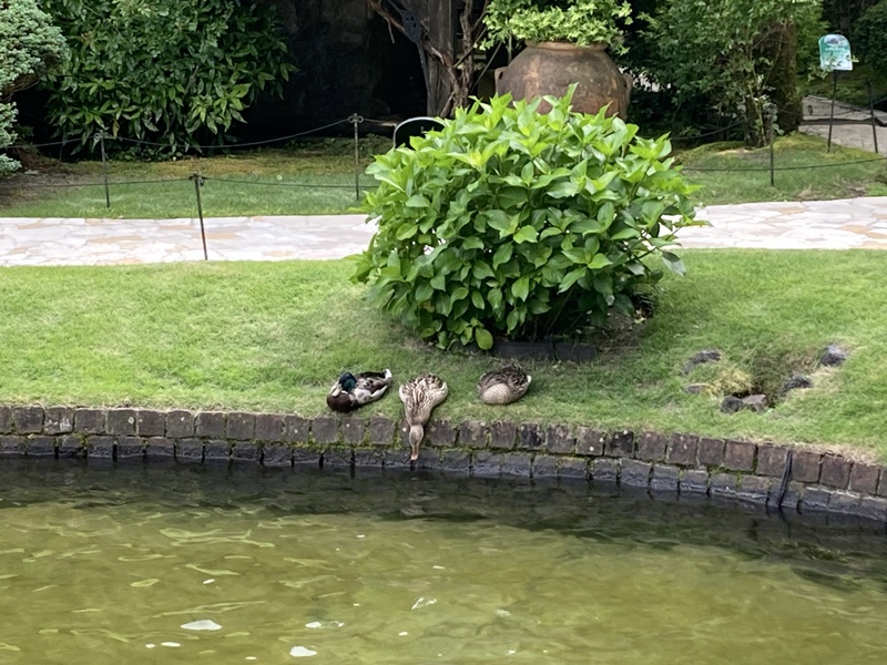 ガラスの森美術館便り！