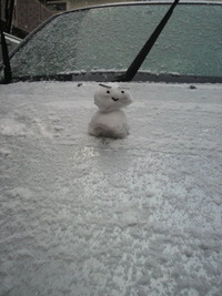 雪だぁ〜 2012/02/02 19:39:03