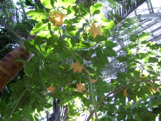 豊橋総合動植物公園