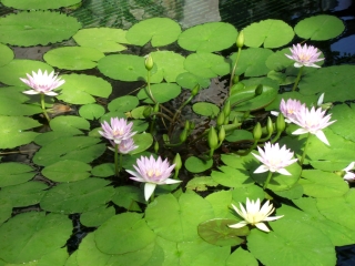 豊橋総合動植物公園