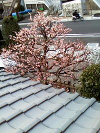  ２/４の朝ですよ(^-^o) 2010/02/04 07:56:56
