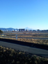 ２/５の朝ですよ(^-^o) 2010/02/05 07:52:15
