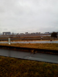  ２/１２の朝ですよ(^-^o) 2010/02/12 07:28:44