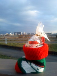 １２/１４ の朝 2009/12/14 07:38:35