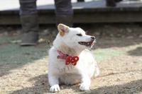行って来たよん♪