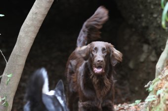 本日は♪