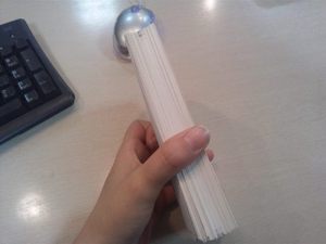 チェックコートと暴走モード。