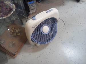 今日のボディ様と、救世主登場。