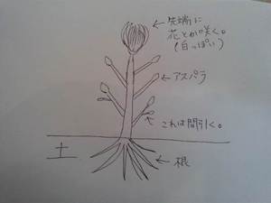 まだまだ知らないことばかり。