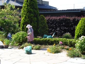 「まちを花いっぱいに」磐田市花の会福田支部