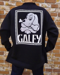 GALFY　入荷