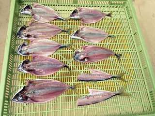 仕込みの最中