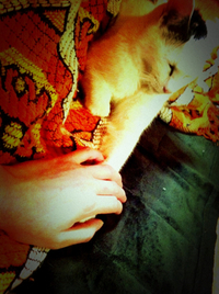 一緒 2012/02/19 19:27:51