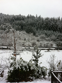 雪に変わりませんよーに★