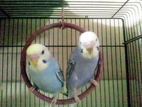 ふたり仲良く..