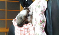 はじめまして 2013/02/19 22:11:48