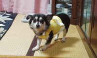 あっこちゃん 2013/02/26 21:45:52