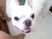 最近… 2012/09/19 07:08:25