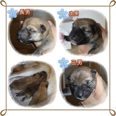 ホッと♪