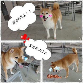 ご報告♪